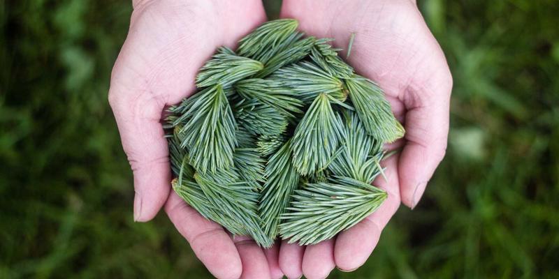 Story Poker QQ28：在线扑克如何重塑数字娱乐新体验