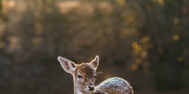 Story Poker QQ73:娱乐与策略交织的线上纸牌游戏新体验