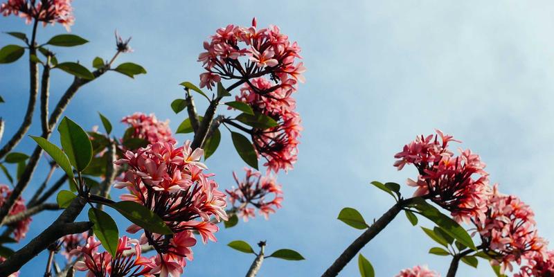 Story Poker QQ87：重新定义社交卡牌游戏，在故事与策略中享受娱乐新体验