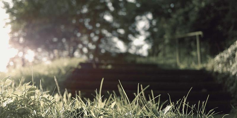 Story Poker QQ88:融合日本禅意的娱乐新境界