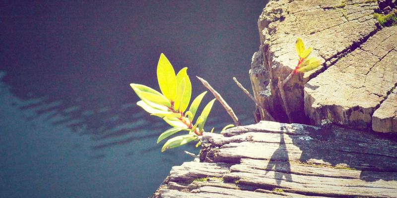 Story Poker QQ97：融合日本禅意哲学的在线扑克游戏新体验