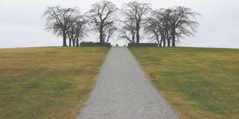 Story Poker QQ房主必备：融合Japanese Zen智慧的游戏设置与流程管理全攻略