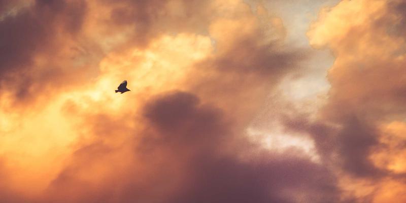 Story Poker QQ教程:融合卡牌策略、娱乐与日式禅意的独特体验