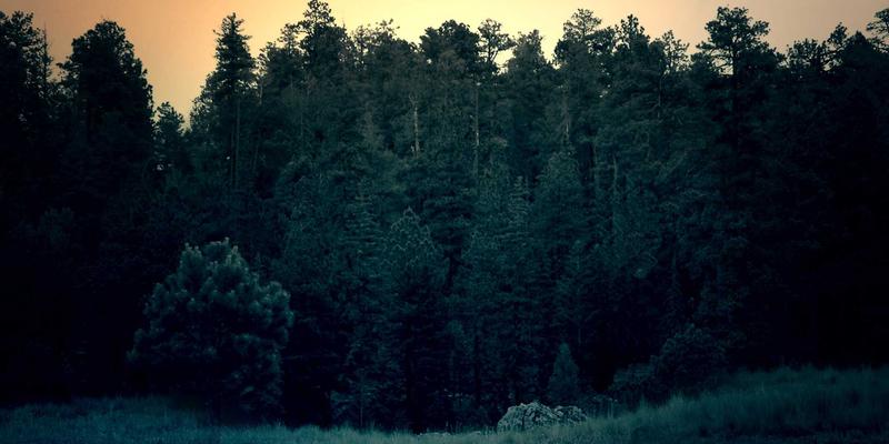 Story Poker QQ：融合日本禅意的扑克游戏新前景