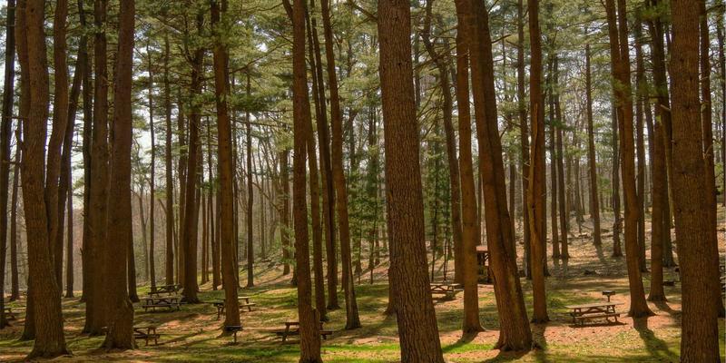 Story Poker QQ：重新定义在线扑克娱乐体验