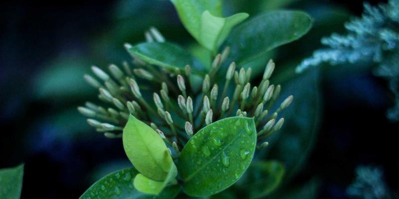 Story Poker QQ：重新定义在线扑克游戏的叙事与社交体验