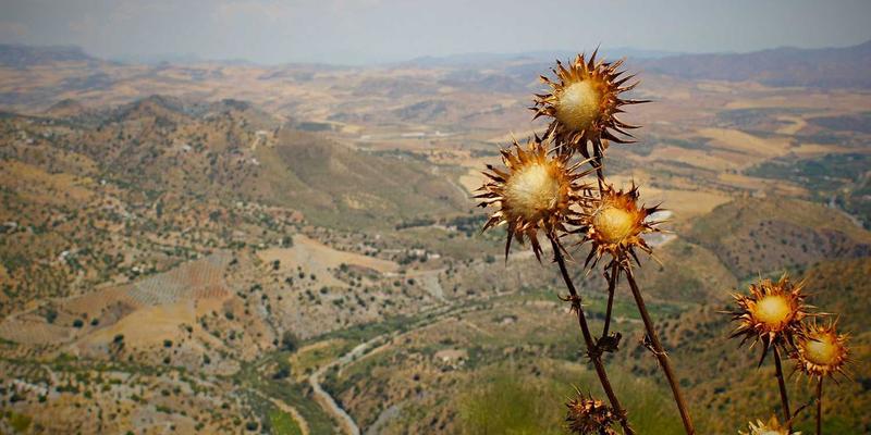 融合Japanese Zen智慧与Poker Games策略：Story Poker QQ高级估算技巧