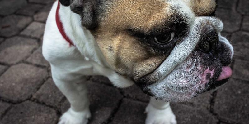 解锁创意玩法：Story Poker QQ自定义卡牌功能完全指南与策略分享